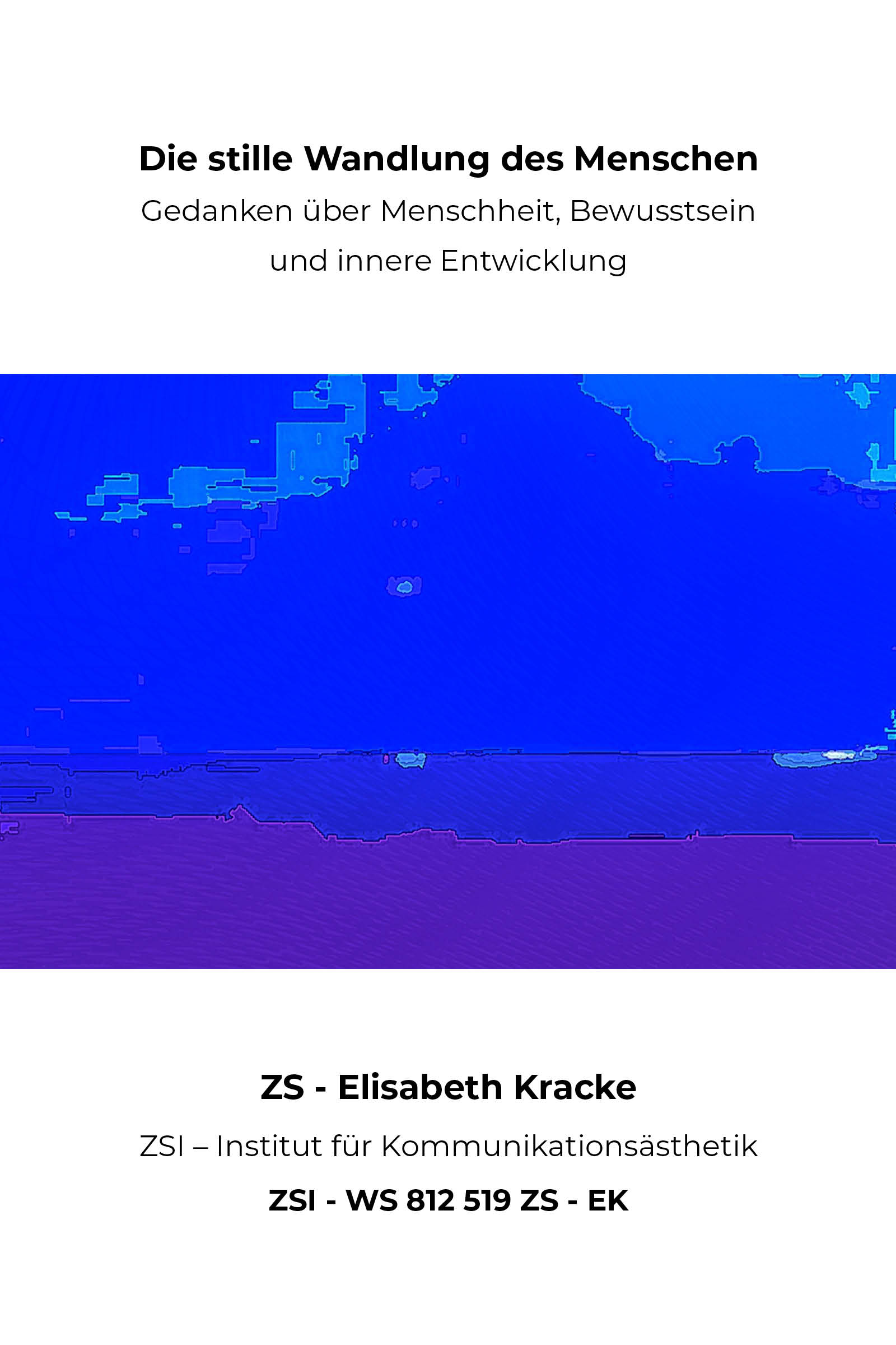 Buchcover ZSI Buchfeld